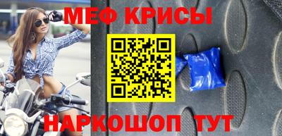 стафф Кингисепп