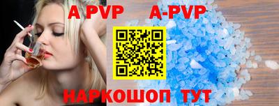 стафф Кингисепп