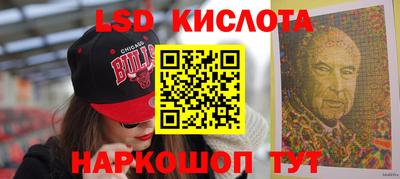стафф Кингисепп
