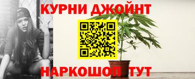 стафф Кингисепп