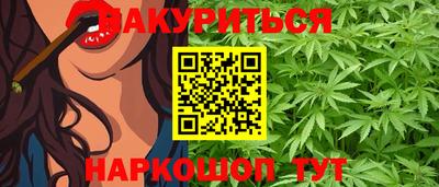 стафф Кингисепп