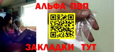 стафф Кингисепп